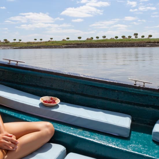 Fácil de leer Transformador Exitoso passeio de barco pelo tejo pedal