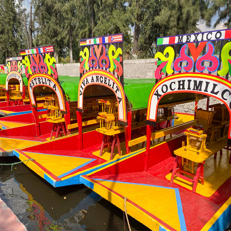 Visita a Coyoacán, Xochimilco & Murales Artísticos: Tour Guiado con Paseo en Trajinera