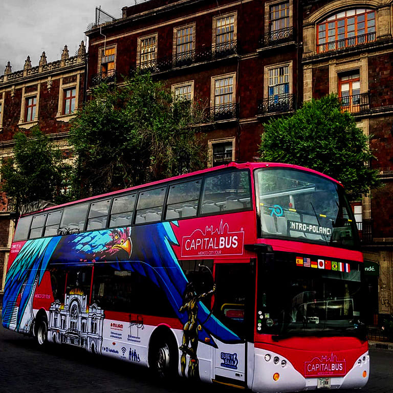 ¡Night Tour con Capital Bus!