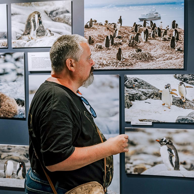 Foto-museo interactivo de la Antártida con realidad virtual