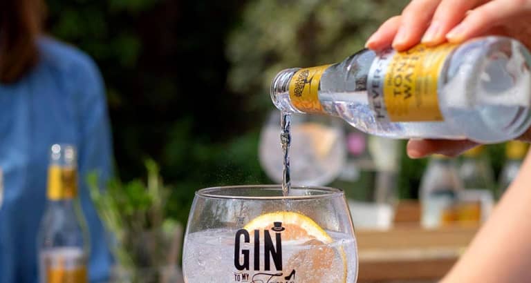 The Gin To My Tonic Festival - London | Fever
