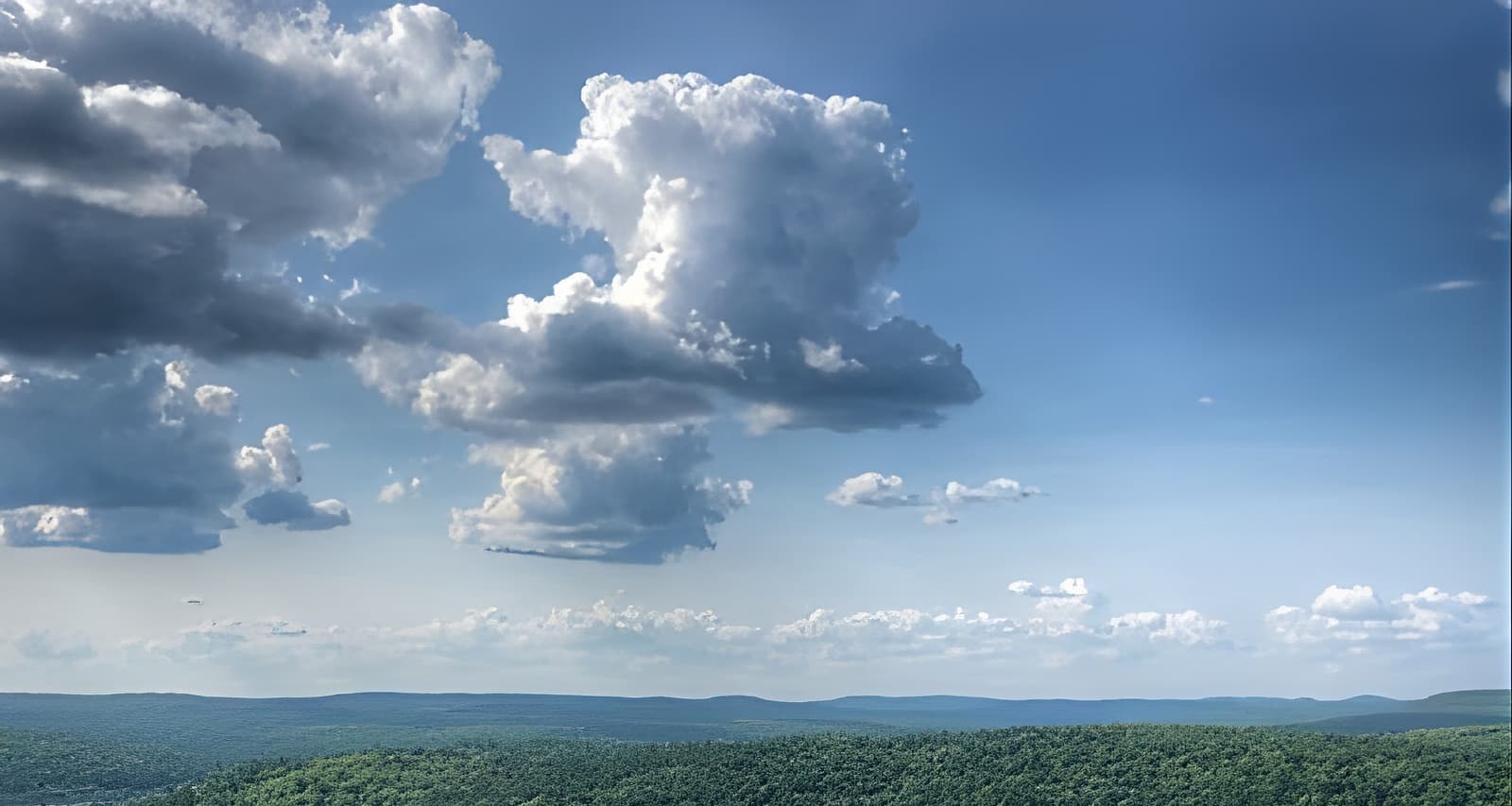 Algonquin Provincial Park Day Tour from Toronto (Toronto) Tickets Fever