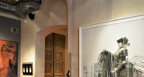 Entrades: Museu Europeu d'Art Modern