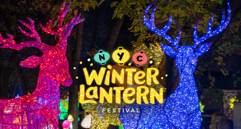 Winter Lantern Festival - Queens, New York - Tickets