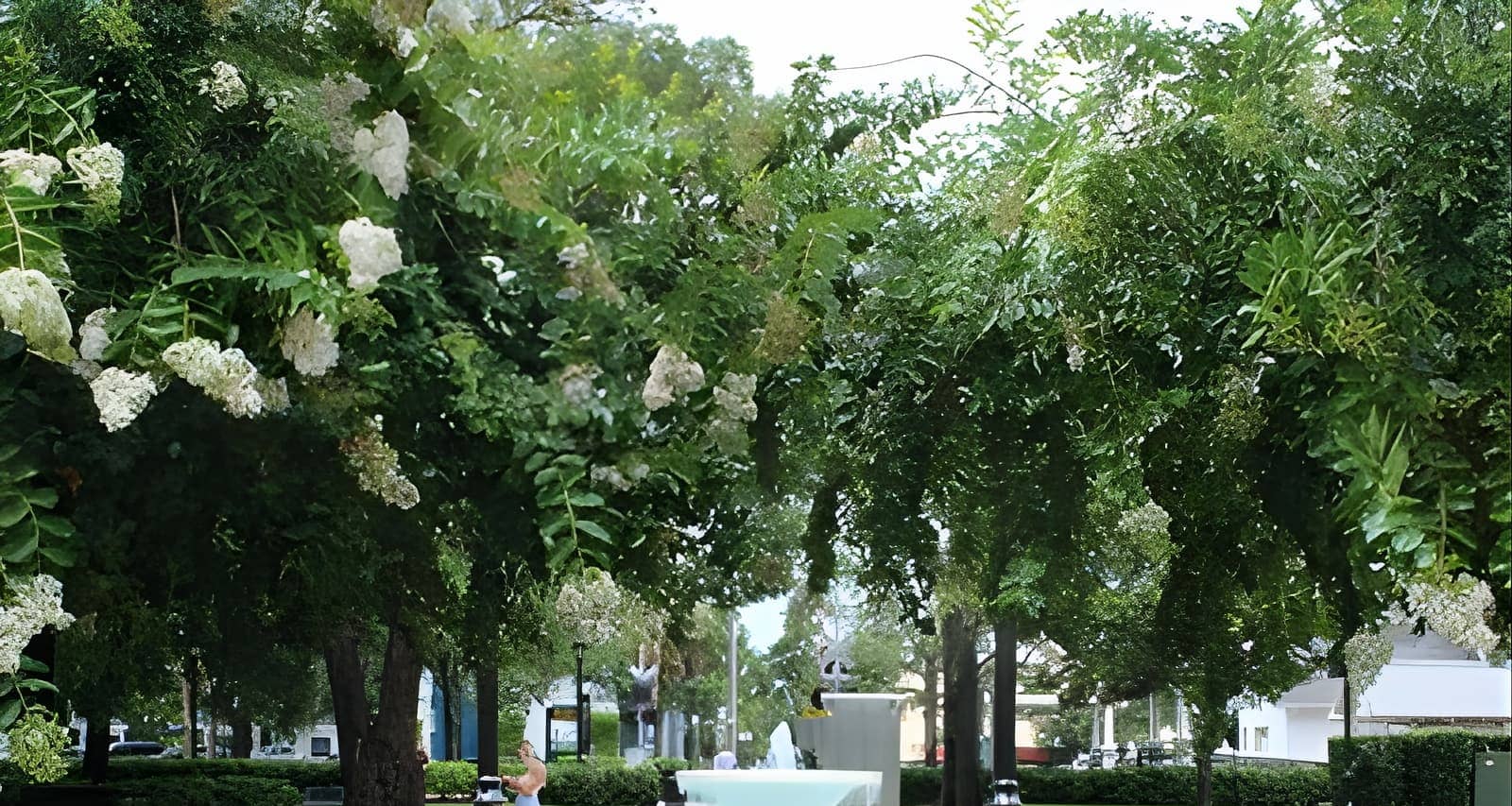 taste-of-winter-park-greater-orlando-area-orlando-tickets-fever