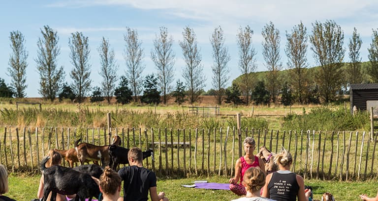 Nature's Trail Yoga