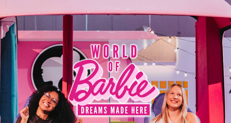8 Unbelievable Barbie Wardrobe Closet for 2024