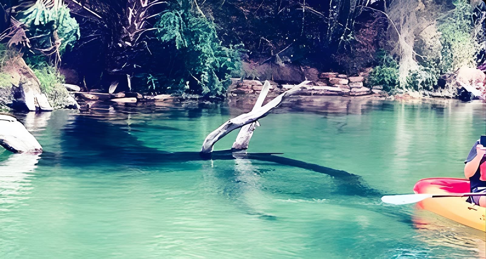 Orlando Manatee and Natural Spring Adventure Tour at Blue Springs