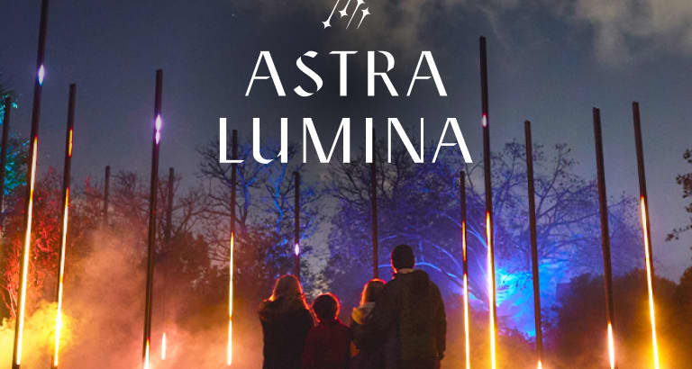Astra Lumina Dallas: An Enchanted Night Walk - Tickets | Fever