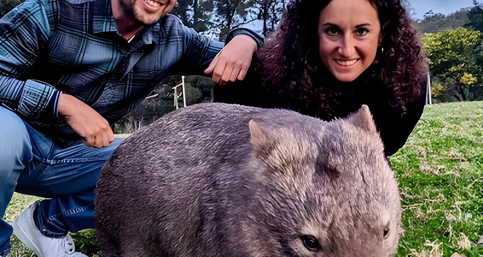 Wild Wombat and Kangaroo Day Tour from Sydney (Sydney) Tickets | Fever