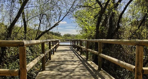 Doñana-Nationalpark und El Rocío: Ausflug ab Sevilla