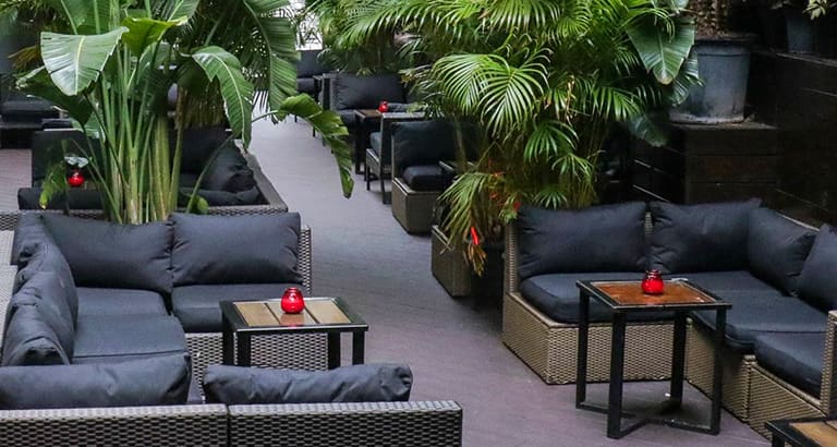 Delancey Rooftop Delancey Rooftop Day Party (NYC) Tickets | Fever