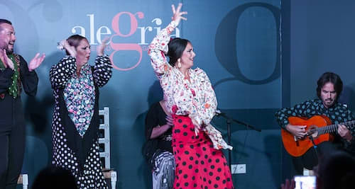 Tablao Alegría Flamenco Málaga Alegría Málaga: Espectáculo Flamenco4.5(34) 11 mar - 05 may 28,00 € — Día de la Madre en Málaga