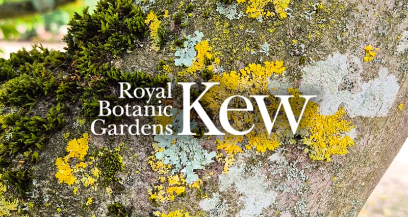 Lichen Tours at The Royal Botanic Gardens, Kew