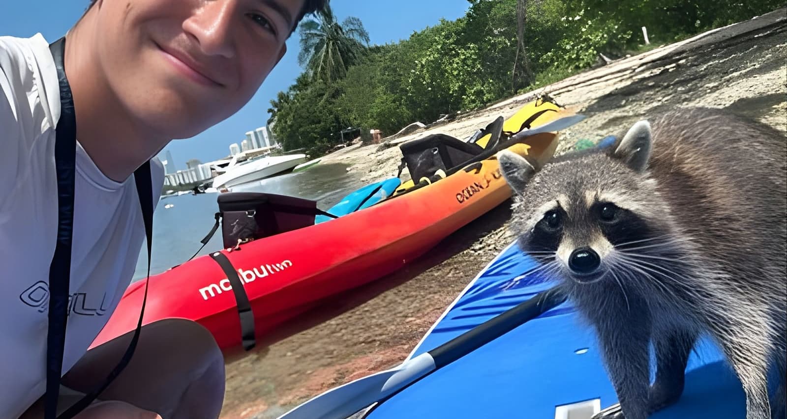 Exploración de Raccoon Island en SUP/Kayak (Miami) Entradas | Fever