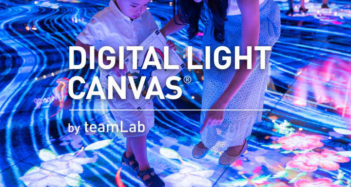 Digital Light Canvas by teamLab - Singapore | Fever