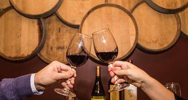 Santa Rita Winery Premium Tour