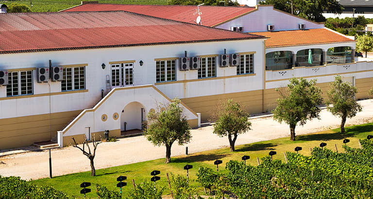 Oiça lá, ó Senhor Vinho na Casa Ermelinda Freitas - Lisboa | Fever