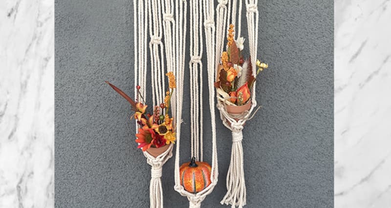 Fall Macramé Plant Hanger Workshop - San Diego - Tickets | Fever