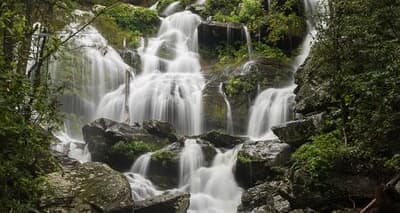 Half Day Hike Water Falls (Asheville) Tickets Fever