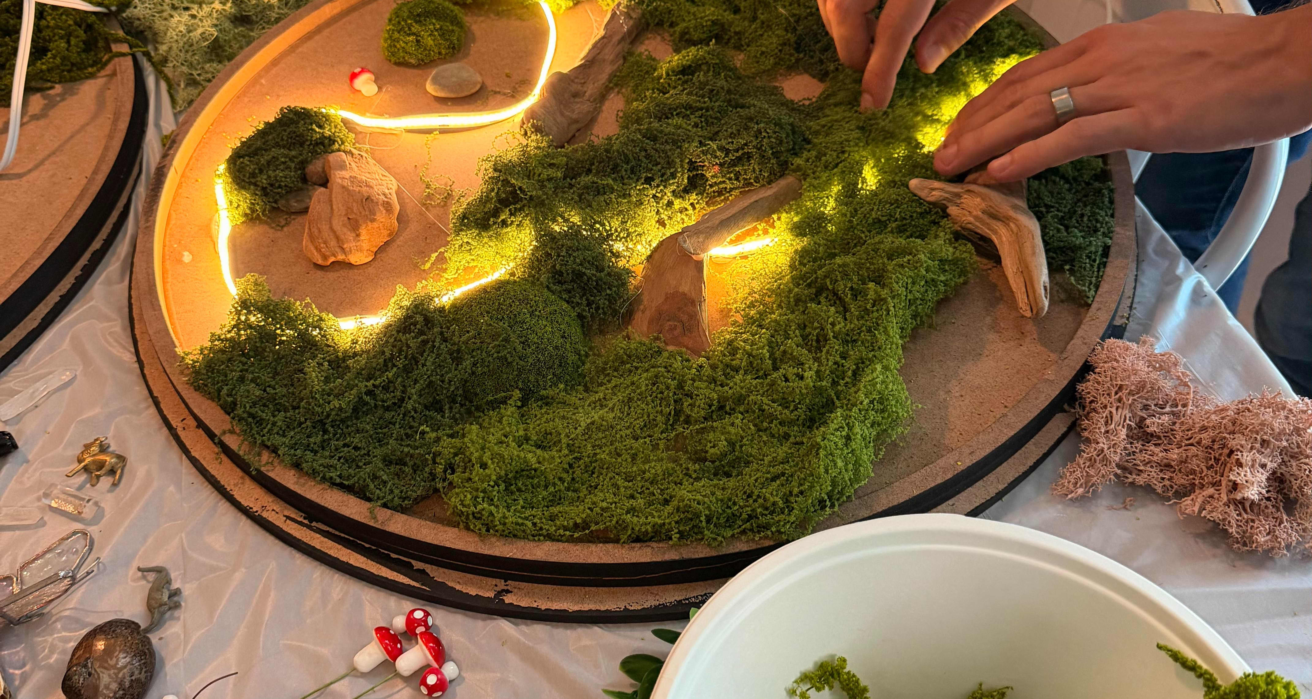 MossGlow Art Workshop: Create a Glowing Preserved Moss Lamp in Santa Ana