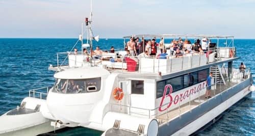 Creuer en catamarà per la Marina de Valencia amb beguda de benvinguda a Valencia City Cards