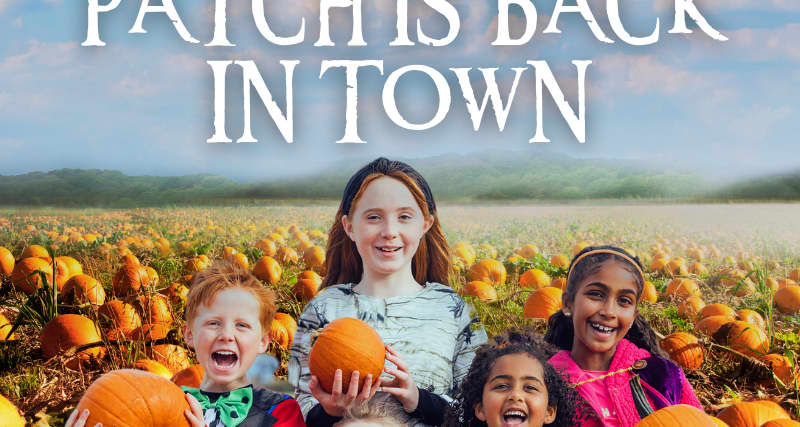 Pumpkin Patch At Hobbledown West London