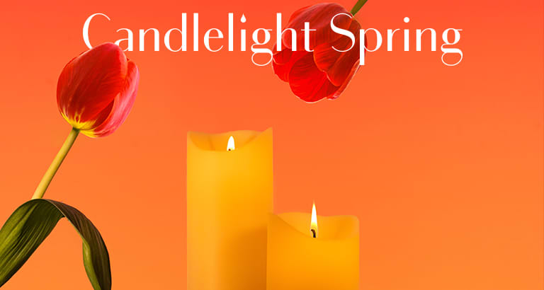 Candlelight Spring : Bandes originales des films de Nolan - Montréal ...