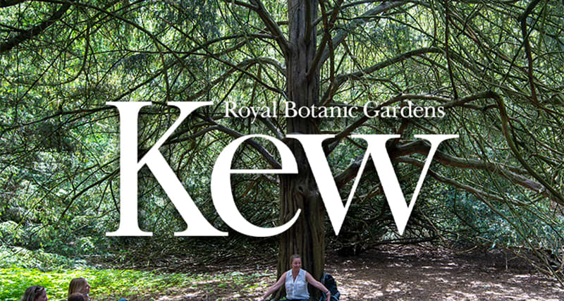 The Royal Botanic Gardens - Kew - Forest Bathing