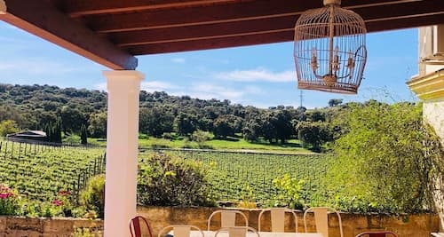 Bodega Doña Felisa Bodega Doña Felisa: Visita guiada y cata de vinos o comida4.2(6) 12 mar - 08 may Desde 15,00 € — Día de la Madre en Málaga