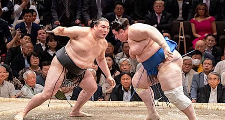 Sumo Tournament Experience in Tokyo - Tickets | Fever
