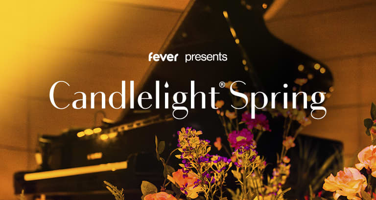Candlelight: Das Beste von Ludovico Einaudi Logenhaus zur Einigkeit 4.7(298) — Candlelight Frankfurt