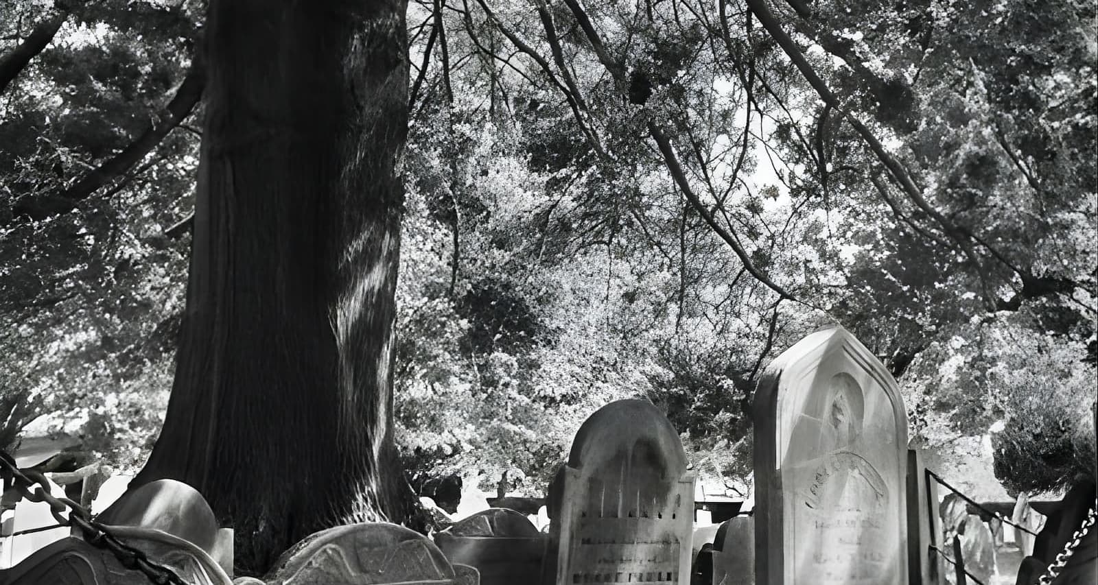 Requiem for Salem Walking Ghost Tour (Salem) Tickets