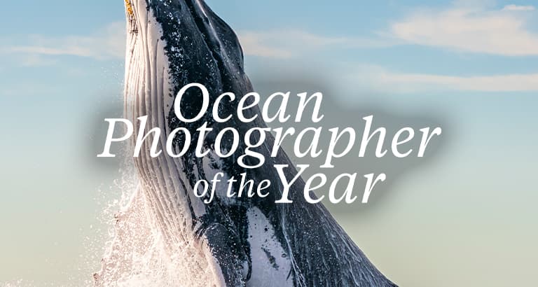 Ocean Photographer of the Year Exhibition Melbourne