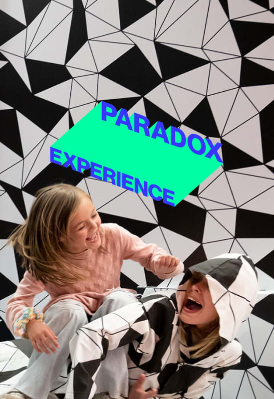 Paradox Experience