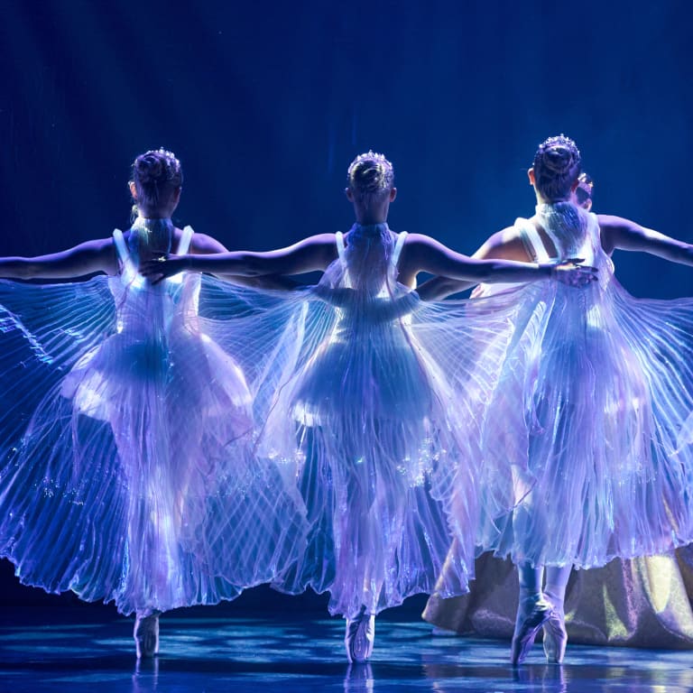 Ballet of Lights - Tarjeta Regalo