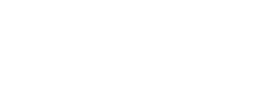 Fever logo theme