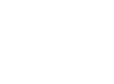 Fever logo theme