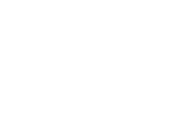 Fever logo theme