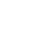 Fever logo theme