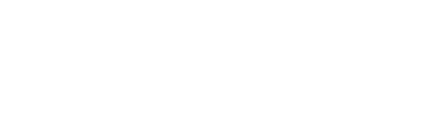 Fever logo theme