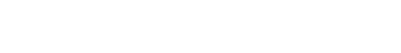 Fever logo theme