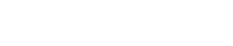 Fever logo theme