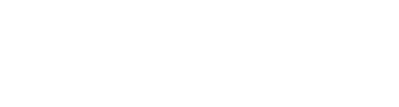 Fever logo theme