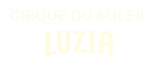 Fever logo theme