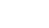 Fever logo theme