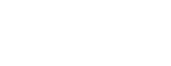 Fever logo theme