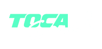 Fever logo theme