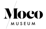 Fever logo theme