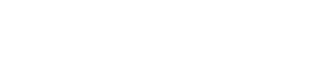 Fever logo theme